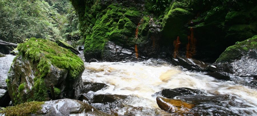 Slide Image